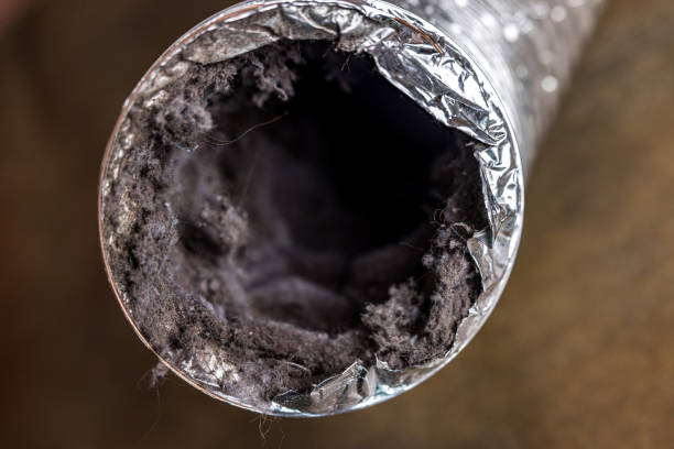Air Duct Mold Removal in Lathrup Village, MI